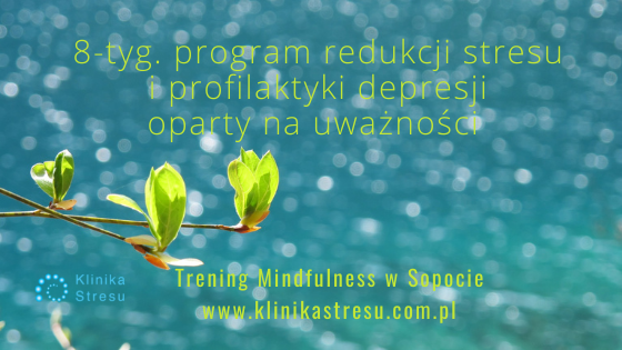 8-tyg. program redukcji stresu i profilaktyki depresji na bazie Mindfulness – ONLINE – Ewa Kaian Kochanowska